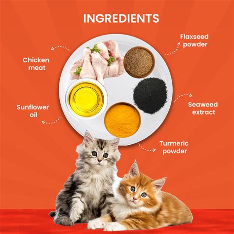 Goofy Tails Chicken and Flaxseed Cat and Kitten Wet Food – GoofyTails