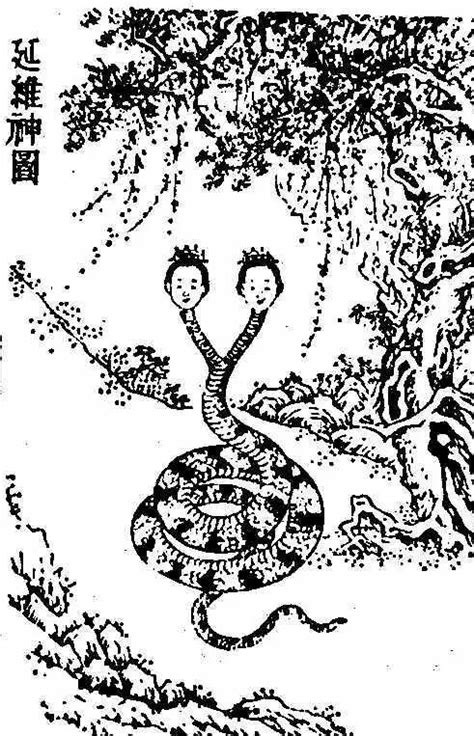 双头蛇简笔画传说,双头蛇简笔画梦见,双头蛇简笔画_大山谷图库