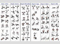 Top 5 Day Workout Routine For Man - Bodydulding