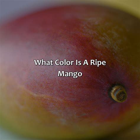 What Color Is A Ripe Mango - colorscombo.com