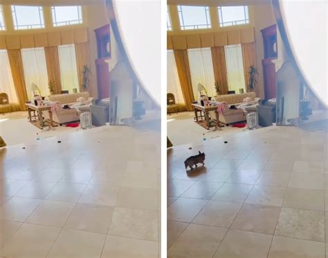 Britney Spears Sparks Major Fan Concern After Revealing Her Very Messy ...