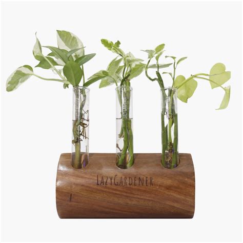Lazy Gardener Test Tube Planter with Wooden Stand for Living Room ...
