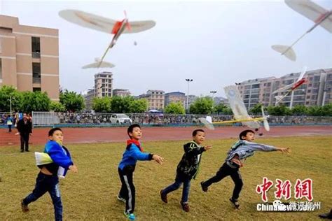 家长速览!广西柳州市2023年市区小学学区划分范围正式公布