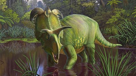 Triceratops Images Of Dinosaurs 90+ Free Triceratops & Dinosaur Images