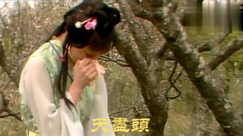 《红楼梦》经典片段：黛玉葬花，这林妹妹的多愁善感啊