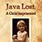 Image result for Java Lost