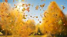 Realistic Fall Backgrounds by Autumn Fall Leaves Sideways Downloops Creative Motion Realistic Fall Backgrounds