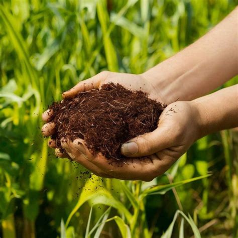 Organic manure-Source, Classification and Preparation