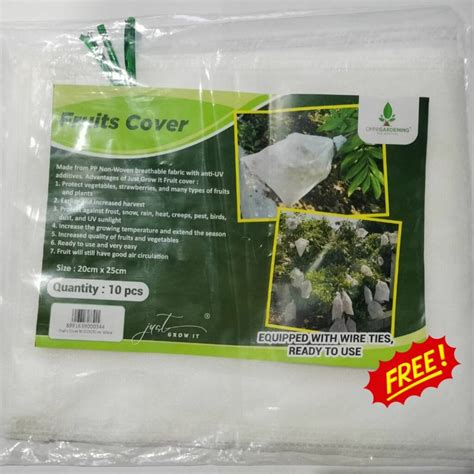 Image result for Dwarf Mango Tree Care