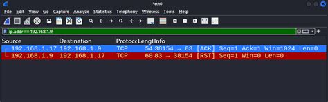 Nmap for Pentester: Port Status