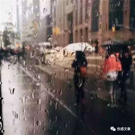 你住的城市下雨了，你带伞了吗？