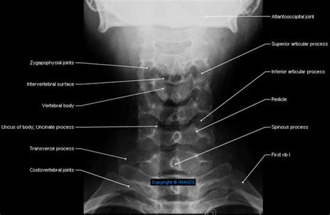 Image result for Text Position in Python Plot