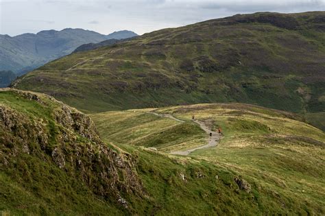Outdoor Swimming 的图像结果