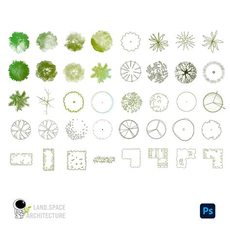 Photoshop Tree and Shrub Brushes Pack .abr for Watercolor Style ...