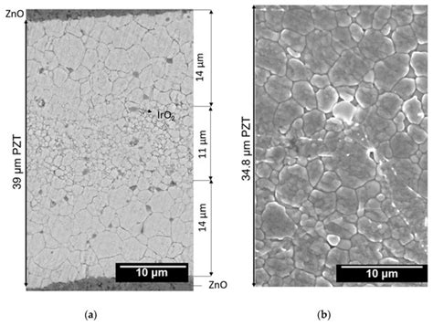 Cold Sintering of PZT 2-2 Composites for High Frequency Ultrasound ...