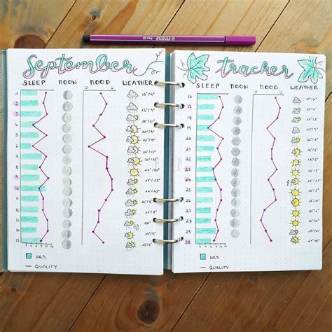 bujo weather tracker