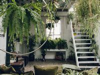 130 个 Plant room 点子 | 室內植物, 室內, 餐厅装饰