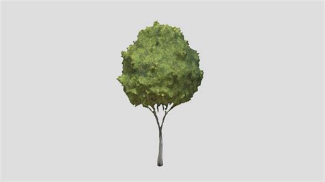 Image result for Unreal Engine Passive Tree