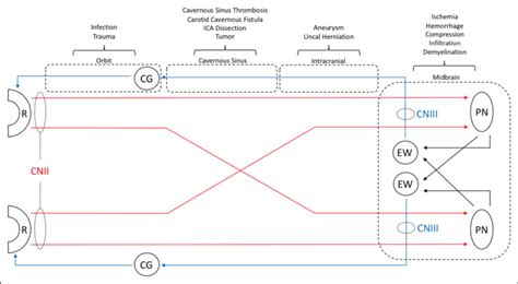 Image result for How to Track a Phone Location Using Program