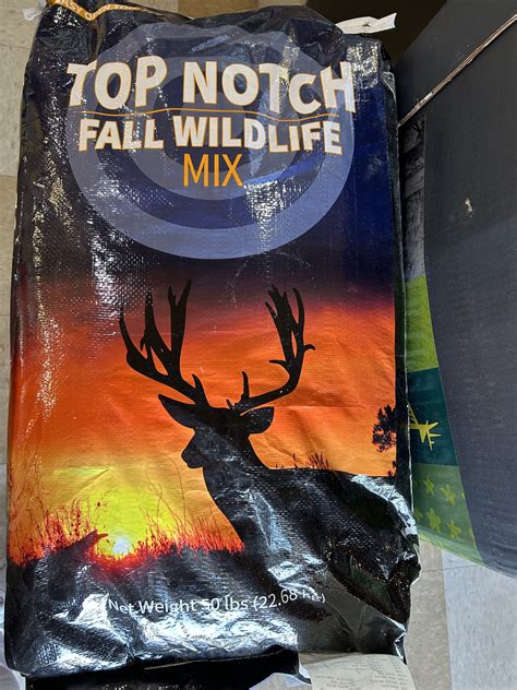 Attract Deer and Wildlife with Top Notch Fall Wildlife Mix - New ...