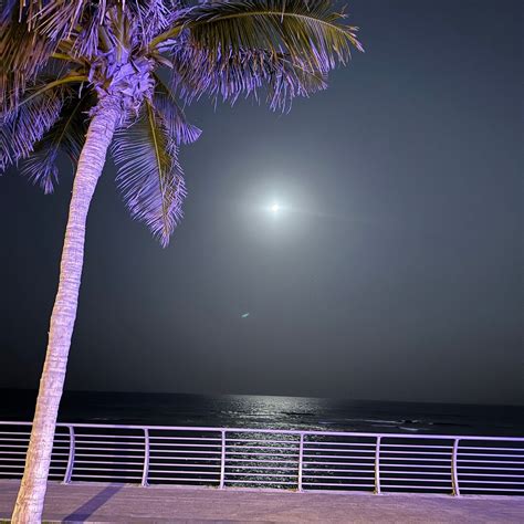 THE JEDDAH CORNICHE (2025) All You Need to Know BEFORE You Go (with ...