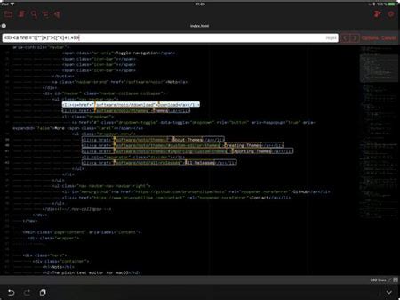 Python Code Editor iPad 的图像结果