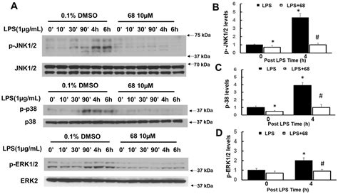 A LRRK2 GTP Binding Inhibitor, 68, Reduces LPS-Induced Signaling Events ...