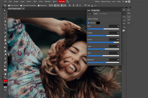 Image result for Color Correction Software