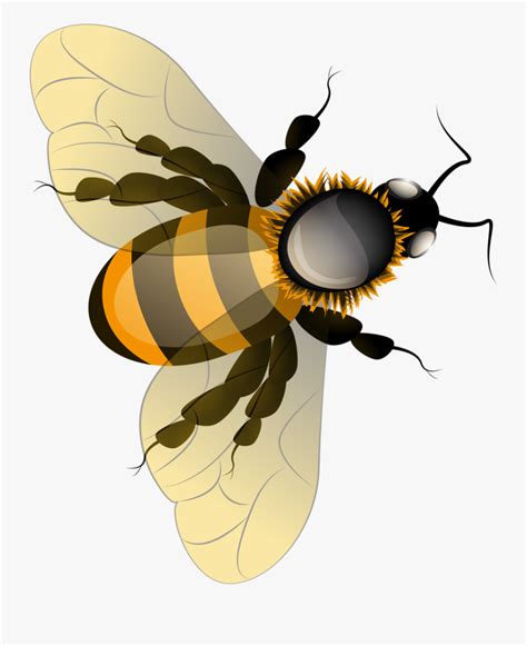 Image result for Bee Tecture Packs Minecraft