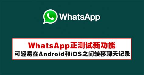 WhatsApp 12个超级实用的技巧和功能！肯定会用得到！ – LEESHARING