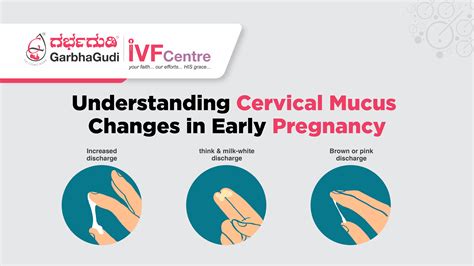 Cervical Discharge During Pregnancy