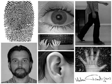 Image result for Biometric User Identification Keystroke