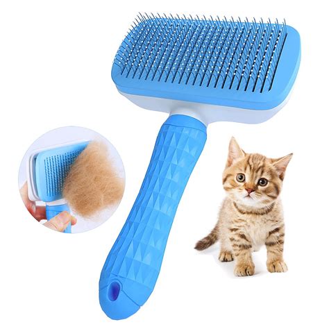 How Do You Disinfect Dog Grooming Tools
