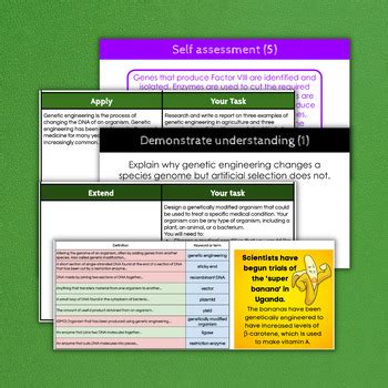 Basic Genetic Engineering GCSE Science OCR 的图像结果