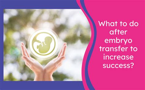 Image result for Embryo Transfer Success