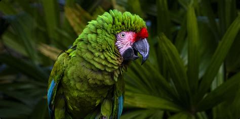 Ai 扣背景 的图像结果