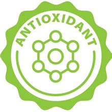 Lagom Gourmet Seedless Dried Apricots, 250g | Sun Dried | No Added ...