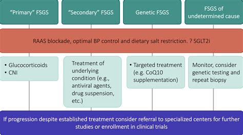 Novel Treatment Paradigms: Focal Segmental Glomerulosclerosis - Kidney International Reports