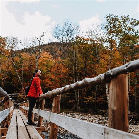 Wintersport 的图像结果