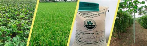 TamilNadu Agricultural University | Seed Centre | For Farmers