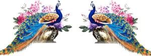 DECOR KAFE 132 cm Beautiful Peacock Wall Sticker Self Adhesive Sticker ...
