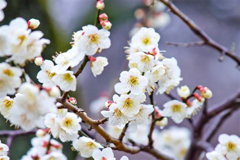 曜日と日付の複雑で興味深い関係