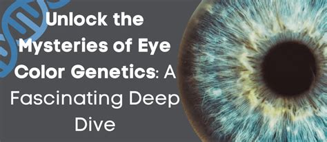 Eye Color Genetics 的图像结果