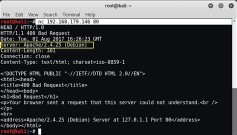 How to use Netcat for Listening, Banner Grabbing and Transferring Files ...