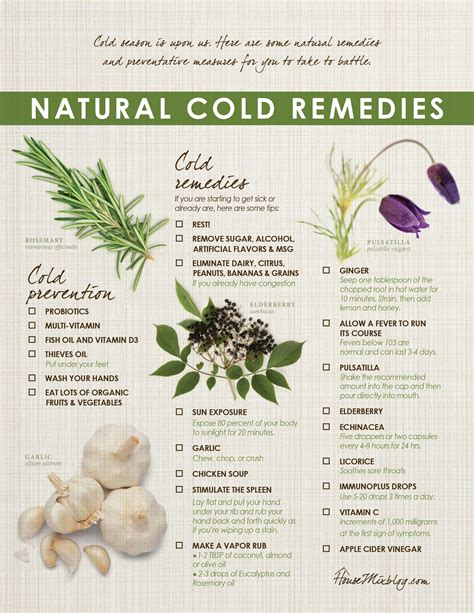 Cold And Flu Remedies List at Joyce Priddy blog