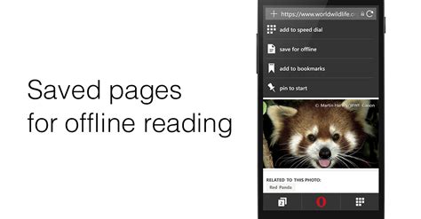 Opera Mini Windows 的图像结果
