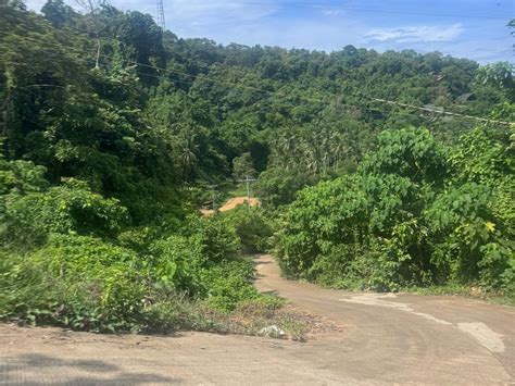 PALAWAN ZIPLINE ADVENTURE INC. - All You Need to Know BEFORE You Go ...