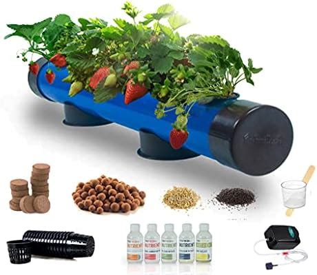 Casa De Amor Hydroponics Deep Water Culture (DWC) Kit for 5 Plants ...