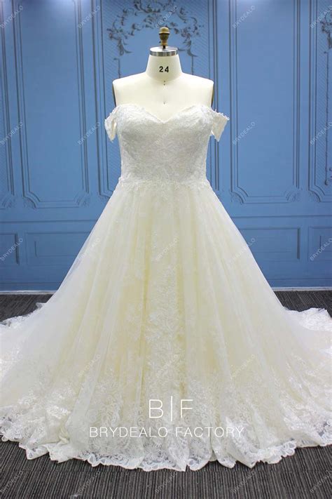 Plus Size Off-the-Shoulder Crafted Lace Long Train Wedding Ball Gown – DesignFormal