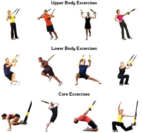 Suspension Training TRX Facts and Posters | CalorieBee